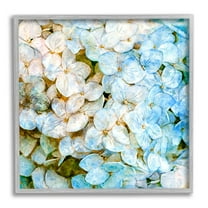 Country Blooming Hydrangeas Botanical & Floral Graphic Art Gray Framed Art Print Wall Art