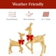 thumbnail image 5 of Set Christmas Deer Family Best Choice Products de 4 pies con 175 LED, 5 of 7