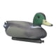 thumbnail image 2 of Señuelo de caza, pato de plástico, simulación al aire libre, decoración de pato, diseño fácil de usar, 2 of 8