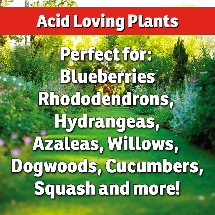 I Must Garden Soil Sulfur Pellets: Organic Soil Acidifier | Naturally Promotes Lush Growth - 5lb Shaker Jar
