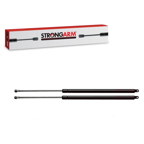 2 pc Strong Arm 6173 Door Lift Supports for 8180065820 Body Doors