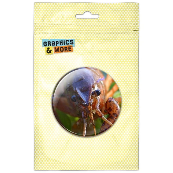 Crayfish Crawfish Crawdad Freshwater Crustacean Pinback Button Pin Badge