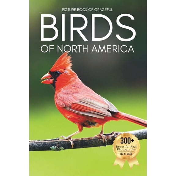 Birds Coffee Table Books Picture Book of Graceful Birds of North America: A Calming Collection of Real Bird Photography for Seniors Living with M, (Paperback)