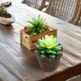 thumbnail image 4 of HEANUJJ 2 Pcs Ensemble de Plantation de Succulentes en Bois Rustique Brun, 4 of 6
