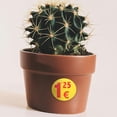 thumbnail image 4 of Shisuyan 1 Roll Adhesive Price Tag Paper Pricing Marker Label Market Labels Small Business Stickers, 4 of 8