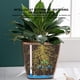 thumbnail image 2 of Macetas para plantas Billuyoard riego automático negro 14*13*10.5, 2 of 6