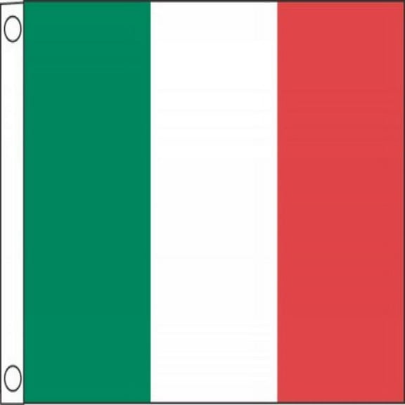 Taylor Made Products 93075 Italy Boat Flag 12" x 18"