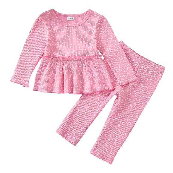 2T Baby Girls Outfits 3T Girls Fall Winter Clothes Toddler Girls Long Sleeve Floral Top Pants 2PCS Set Pink