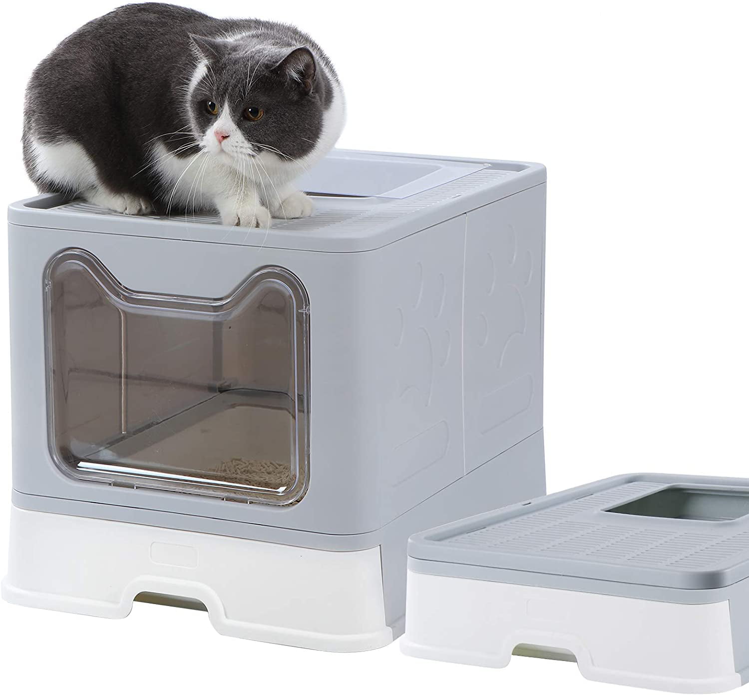 Dymoll Large Cat Litter Box, Foldable Top Entry Litter Box with Lid