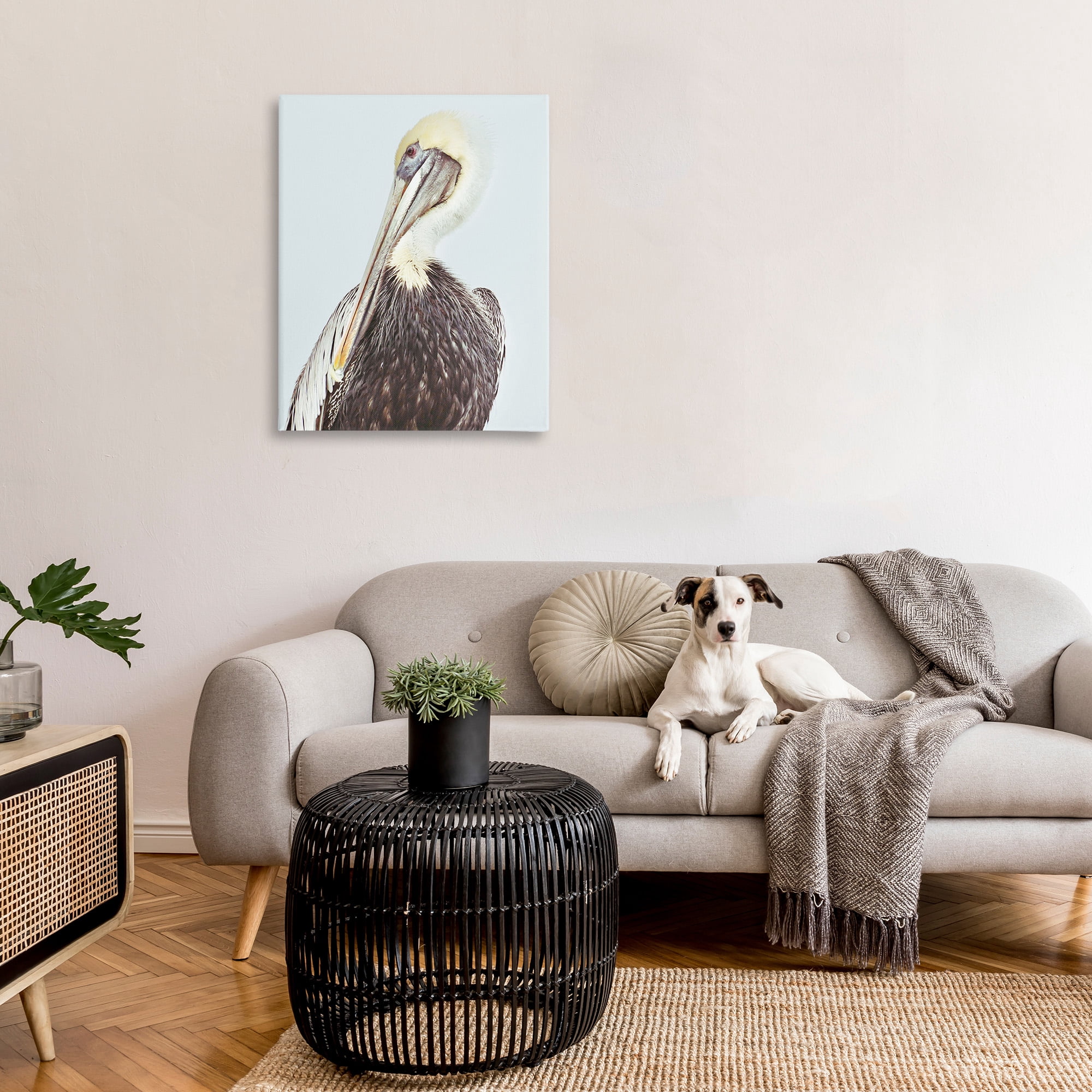 Stupell Industries Preening Pelican Photography Animals & Insects Painting Gallery Wrapped Canvas Art Print Wall Art, 30 x 40