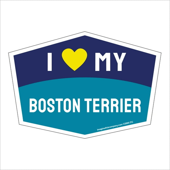 I Love My Boston Terrier Hexagon Shaped Magnet