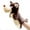 Brown, variant on Grey Brown Wolf Plush Toy Hand Puppet Gift Animal Doll Kindergarten Early Education Toys Parent Child Toys Finger Puppets Happy 2026!