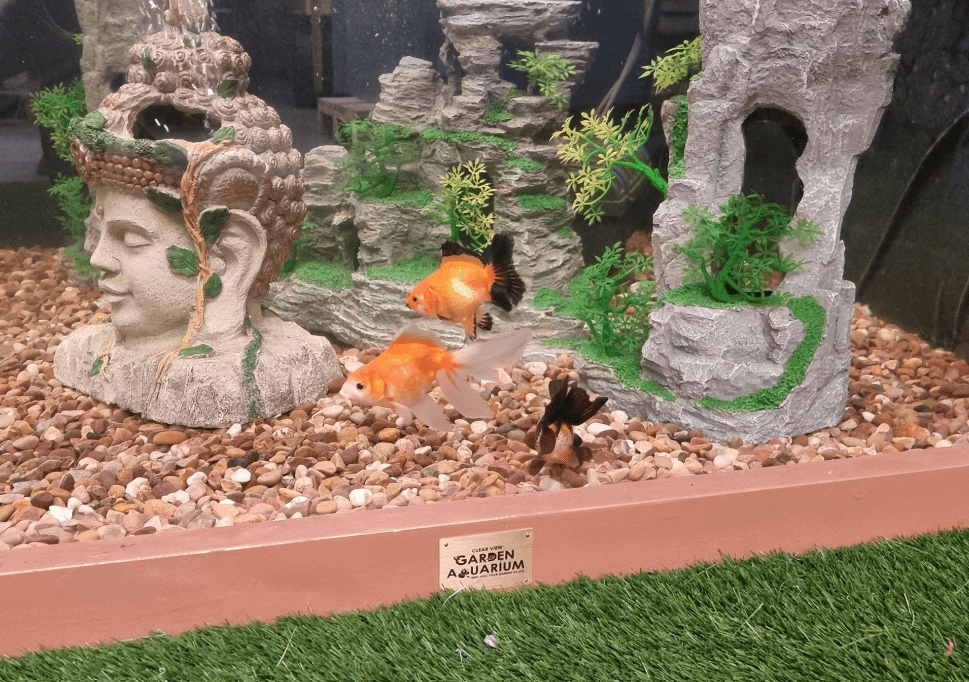 Raised Square Wood Pond with Large Windows - Lotus Clear View Garden Aquarium in Brown 172 Gallon