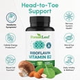 thumbnail image 4 of Forest Leaf Riboflavin Vitamin B2 400 mg Daily Vitamin for Women & Men, 90 Capsules, 4 of 9