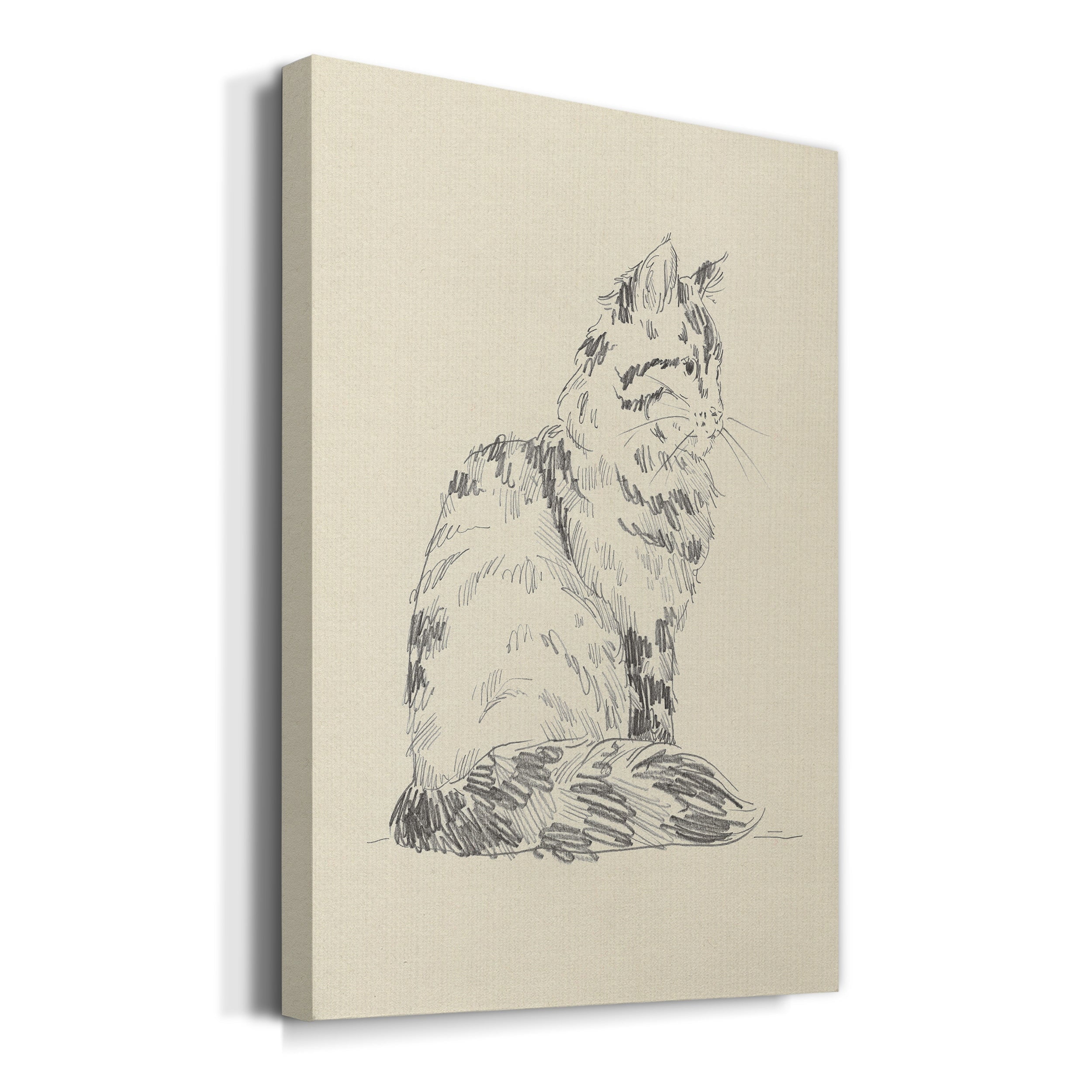House Cat VI Premium Gallery Wrapped Canvas - Ready to Hang