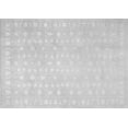 thumbnail image 1 of Ahgly Company Indoor Rectangle Persian Gray Traditional Area Rugs, 3' x 5', 1 of 1