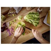 Wusthof Gourmet 5 Cheese Knife