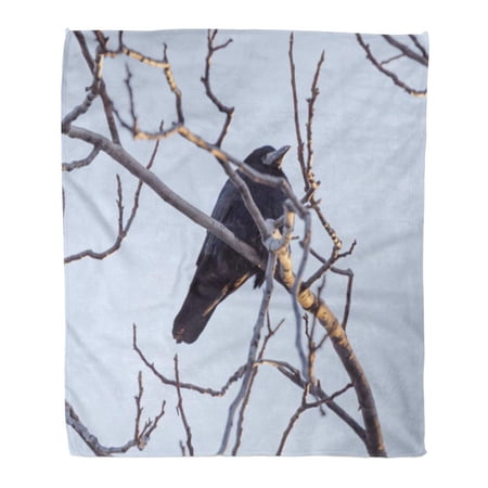 SIDONKU Throw Blanket Warm Cozy Print Flannel Blue Angry Black Crows on Tree Green Beak Comfortable Soft for Bed Sofa and Couch 58x80 Inches
