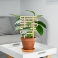 thumbnail image 2 of Climbing Vine Fixed Frame China Rose Flower Holder Indoor Flower Plant Support Pole, 2 of 10