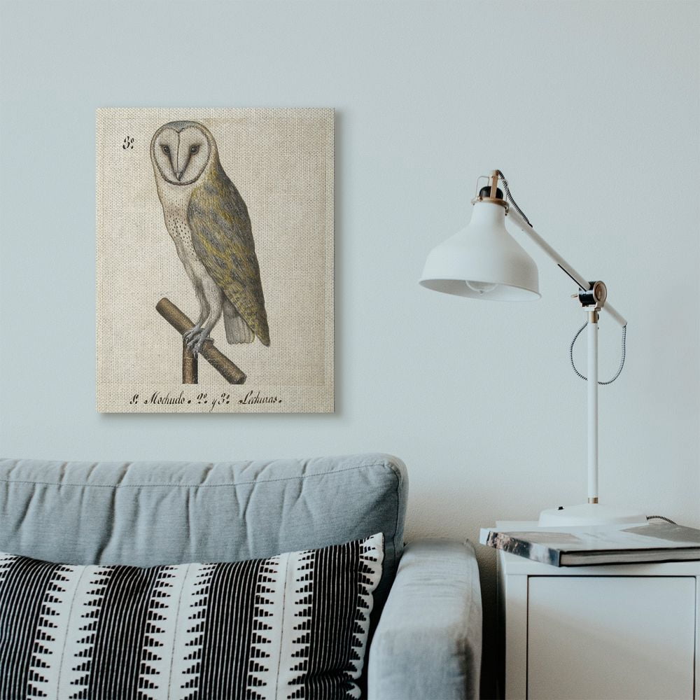 Stupell Home Décor Owl Drawing Vintage Paper Animal Bird Design Canvas Wall Art by Unknown