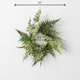 thumbnail image 4 of Sullivans Artificial Fern Twig Nest Mini Wreath 16"H Green, 4 of 4