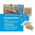 thumbnail image 2 of Beneficial nematodes Heterorhabditis bacteriophora 5 Million Natures Good Guys, 2 of 9