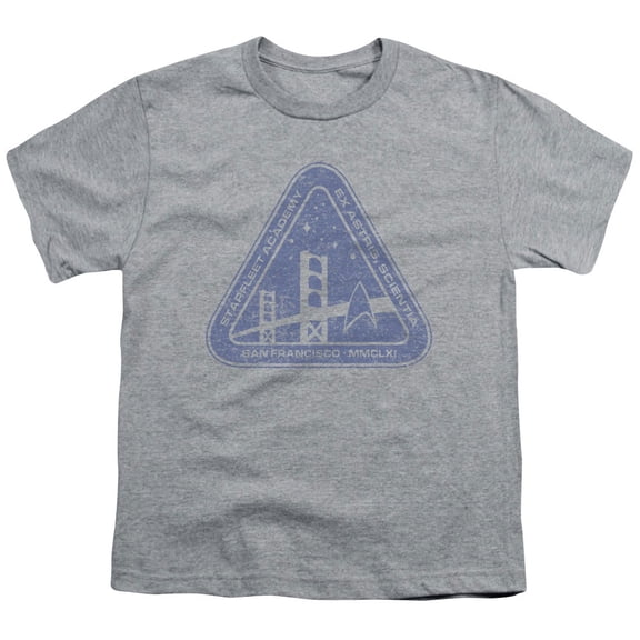 Star Trek/Distressed Logo Big Boys Youth Shirt