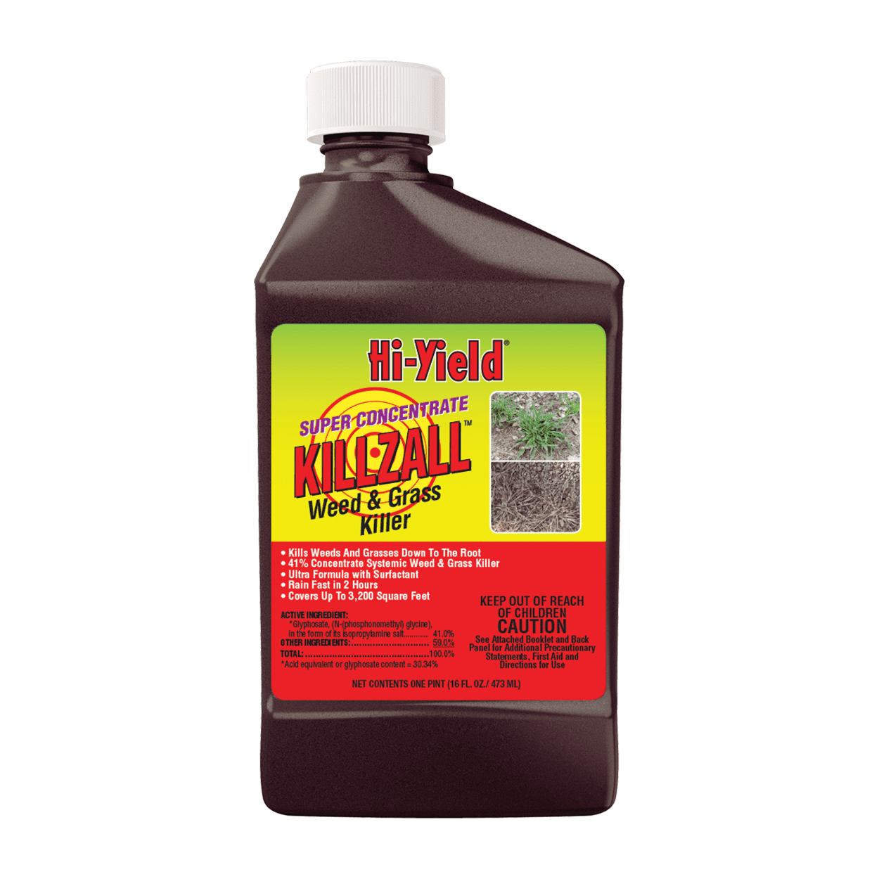 BioAdvanced 704196A Super Concentrated Weed and Grass Killer