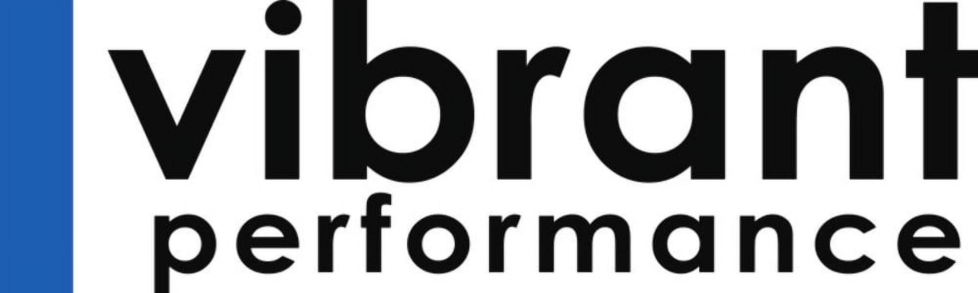 Vibrant Performance 18970 PTFE Lined Braided Flex Hose Black Nylon -10 AN 10 ft.