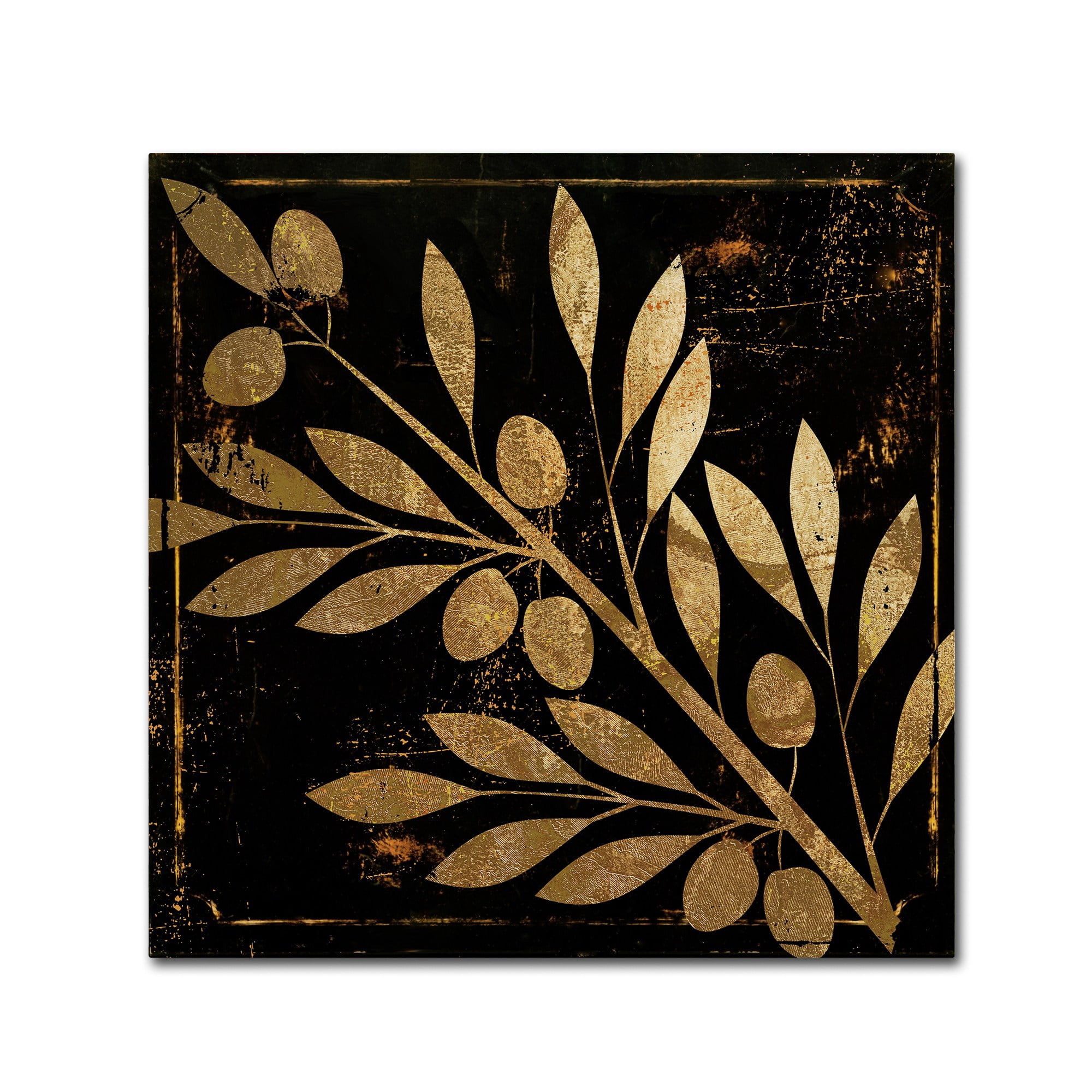 Trademark Fine Art "Bellissima I" Canvas Art by Color Bakery