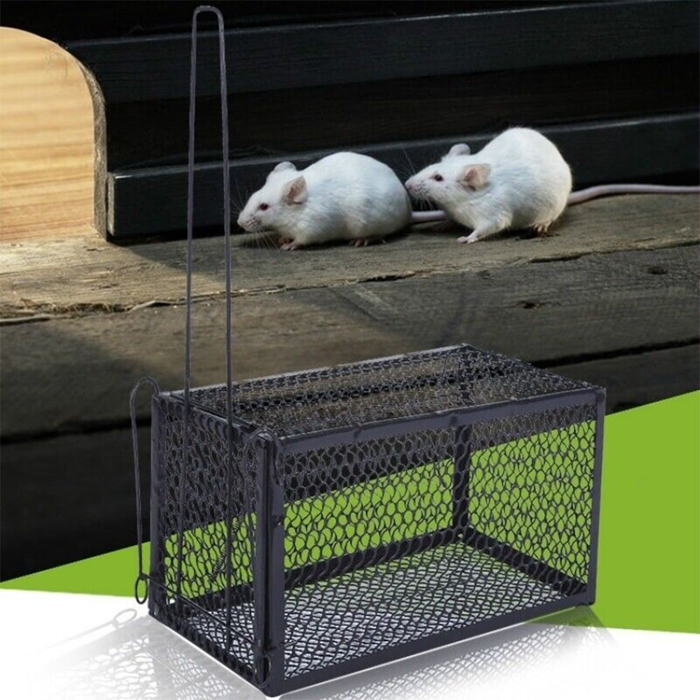 SZHLUX Rat Trap,Mouse Traps Work for Indoor and Outdoor,Small Rodent  Animal-Mice Voles Hamsters Cage,Catch and Release(Medium), Silver  (SZ-SL3616D)