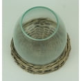 thumbnail image 2 of 8 Inch Diameter Glass Terrarium Vase With Wicker Base, 2 of 3