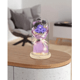 thumbnail image 2 of Púrpura  Xtelar Eterna Flor Real Color Morado, 2 of 2