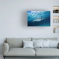 thumbnail image 2 of Trademark Fine Art Barathieu Gabriel Manta Ray Canvas Wall Art - 16x24, 2 of 5
