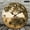 12x12in, variant on Patifu Round Wooden Wall Clock Farm Dad Tractor Tree Country Print Silent Sweep Movement 10x10in