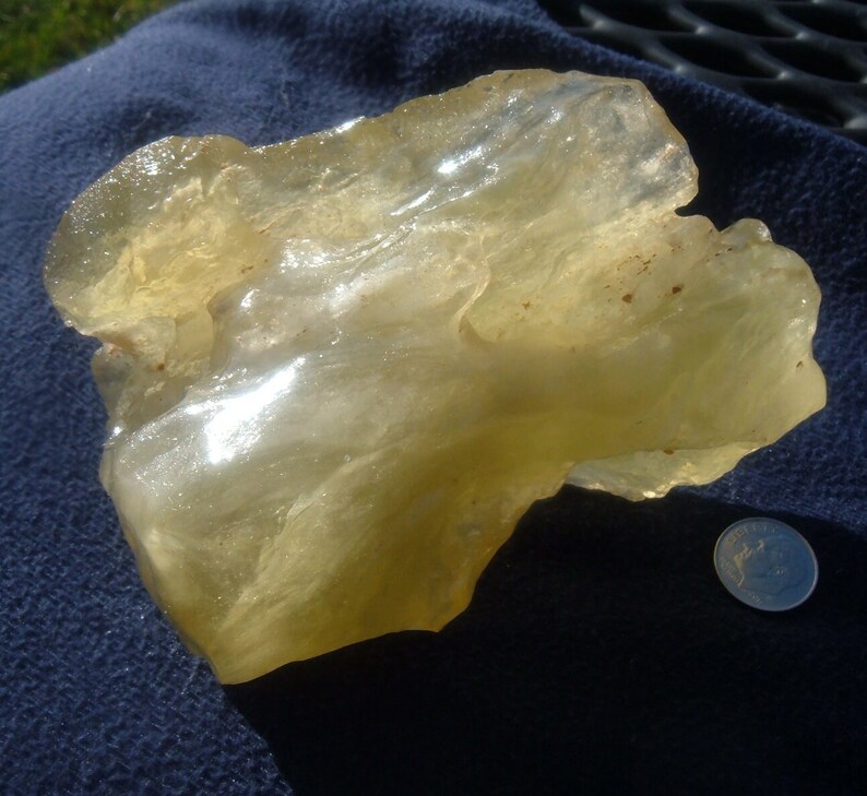 Shoebox Fruiting Kit (INSTRUCTIONS INCLUDED)