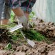 thumbnail image 3 of Paleta de mano para jardinería, mango ergonómico, herramienta de jardinería, pala de jardín para cavar, 3 of 5