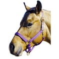 thumbnail image 4 of Intrepid International Poly with Leather Crown Halter-Cob/Sm.Horse Navy, 4 of 6