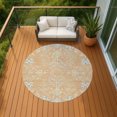 thumbnail image 5 of Addison Rugs Chantille Indoor/Outdoor Traditional Global Peach Machine Washable Round Rug, 8' x 8', 5 of 6