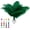 Blackish Green, variant on 20Pcs White Ostrich Feathers 10-12 inch (25-30cm) Bulk Feathers for Home Decoration and DIY Clothes Decoration, Gatsby Decorations