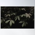 thumbnail image 2 of Dark Leaf Poster Wall Art, Modern Wall Decor For Living Room Bedroom, 8x12 UNFRAMED, 2 of 3