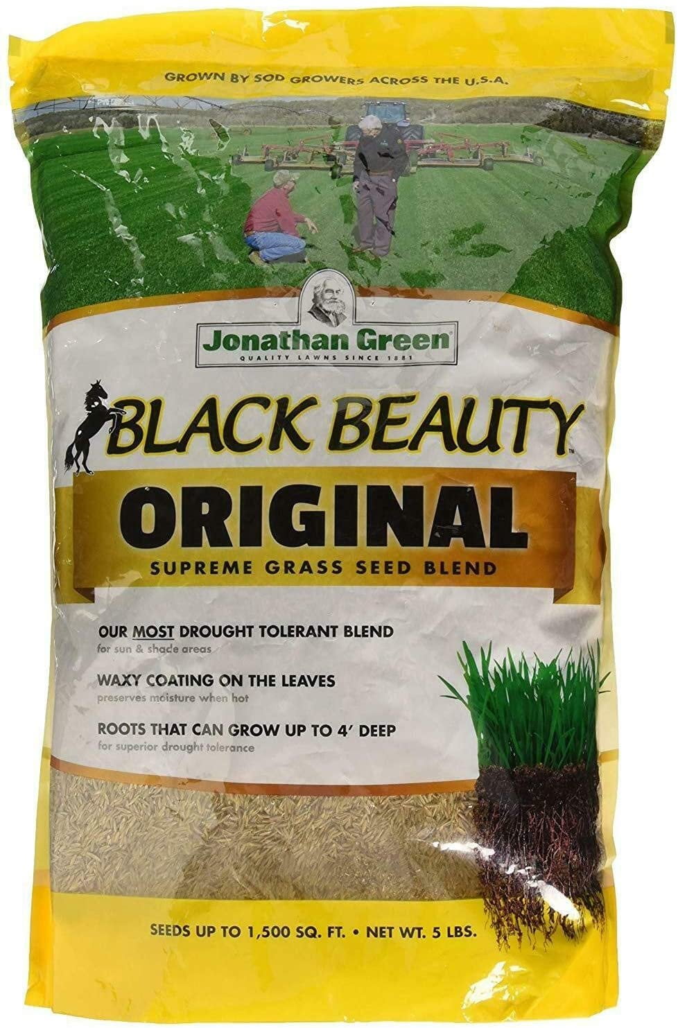 Jonathan Green 10318 Black Beauty Grass Seed Blend, Up to 1500 Sq.Ft, 5