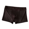 thumbnail image 2 of Nnhblu Ice Silk Thin Style Traceless Boxers Business Breathable Men's Summer Comfortable Boxers Boxers for Men Coffee Mens Briefs - L, 2 of 3