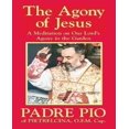 thumbnail image 1 of The Agony of Jesus, 1 of 2