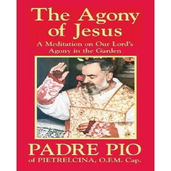 The Agony of Jesus