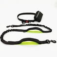 thumbnail image 1 of Training Dog Leash - Training Dog to Walk on a Leash, 1 of 10