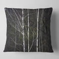 thumbnail image 2 of Designart Black and White Birch Forest - Abstract Throw Pillow - 16x16, 2 of 5