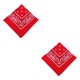 thumbnail image 2 of Greeniant Unisex Poliéster Turbante Bandana Chic Bufanda Cuadrada Paisley Estampado Diadema Senderismo Moderno Pañuelo Regalos Rojo Rojo 2Conjunto, 2 of 6