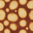 thumbnail image 1 of Ahgly Tapis d'Intérieur Lavable en Machine Carré Transitionnel Orange Bière, 8 Pieds Carré, 1 of 7