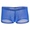 thumbnail image 2 of Pantalones Cortos de Malla Baoblaze Ropa Interior para Hombre Multicolor L, 2 of 7